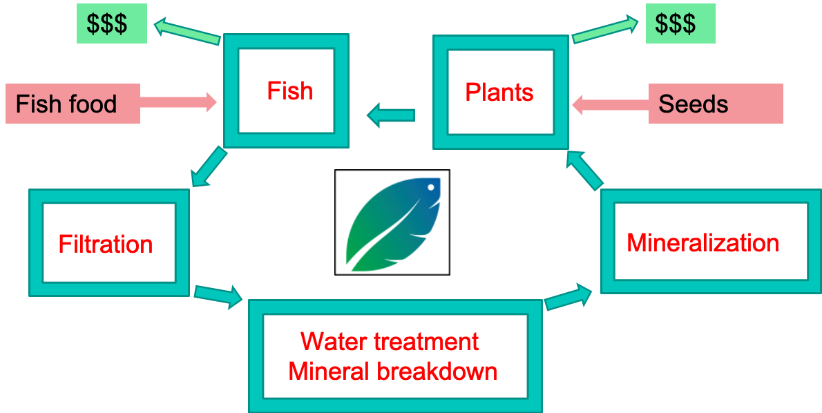 AHAponics Process